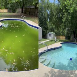 Eternal Blue Pool Service