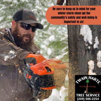 Twain Harte Tree Service - Twain Harte Tree Service - Tree Services Near Me - Twain Harte, California Twain Harte Tree Service - Twain Harte Tree Service - Tree Services Near Me - Twain Harte, California