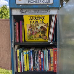 Little Free Library - Little Free Library, 607 Joe Louis St, Fort Mill