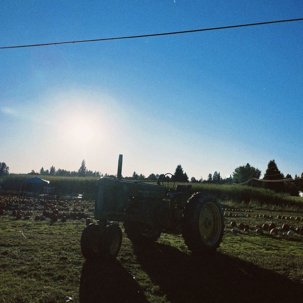 Dawning Day Farms - Attraction Farms Near Me - Battle Ground, Washington Dawning Day Farms - Attraction Farms Near Me - Battle Ground, Washington