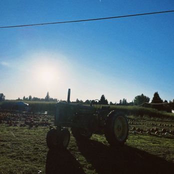 Dawning Day Farms - Attraction Farms Near Me - Battle Ground, Washington