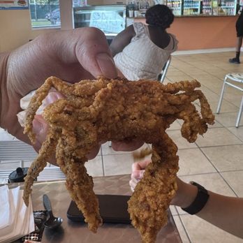 Todays Cajun - Cajun/Creole Near Me - New Orleans, Louisiana Todays Cajun - Cajun/Creole Near Me - New Orleans, Louisiana