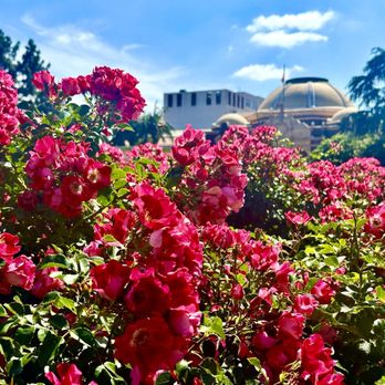 Exposition Park Rose Garden - The Rose Garden is something special!! - Botanical Gardens Near Me - Los Angeles, California