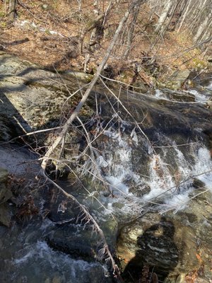 Mount Greylock State Reservation by null
