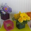 Consider The Lilies Designs gift card