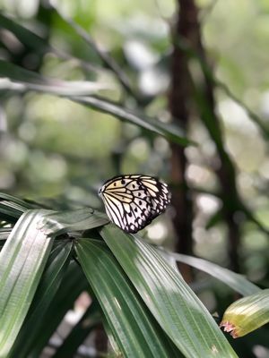 Florida Museum of Natural History by null