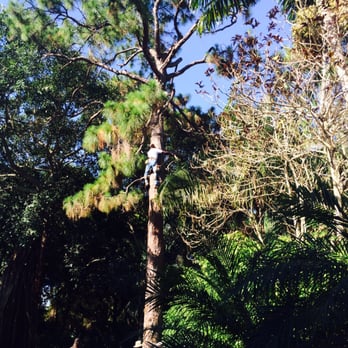 Camelot Debris Removal - 4 man job! - Damage Restoration Near Me - Hollywood, Florida Camelot Debris Removal - 4 man job! - Damage Restoration Near Me - Hollywood, Florida