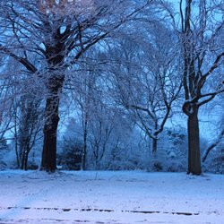 Stadtgarten - An einem Wintermorgen von der Straße aus
