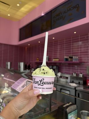 Van Leeuwen Ice Cream by null