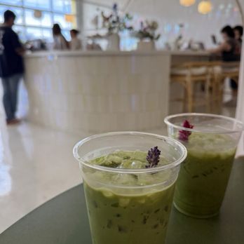 Lovesong Coffee - Bohdi boy (the one with the lavender stem) and wild child - Coffee & Tea Near Me - San Diego, California Lovesong Coffee - Bohdi boy (the one with the lavender stem) and wild child - Coffee & Tea Near Me - San Diego, California