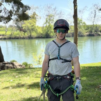 Ray’s Tree Experts - Tree Services Near Me Ray’s Tree Experts - Tree Services Near Me
