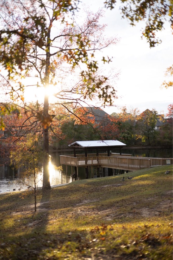 Photos of KIROLI PARK Updated August 2024 160 Photos & 25 Reviews