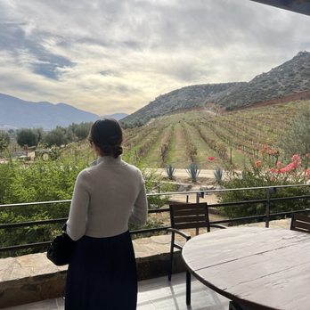 Viñedos de la Reina - View - Wine Tasting Room Near Me - Guadalupe, NLE Viñedos de la Reina - View - Wine Tasting Room Near Me - Guadalupe, NLE