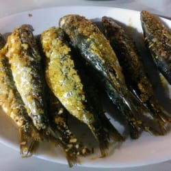 Macha - Sardinas