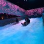 Photo of Frozen Fun
