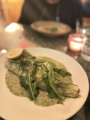 Élephante Scottsdale by null