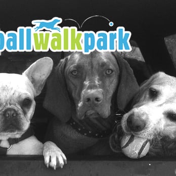 Ballwalkpark - Dog Walkers Near Me Ballwalkpark - Dog Walkers Near Me