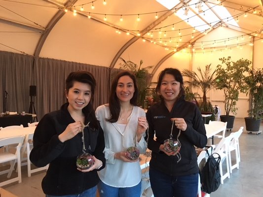 Cole Fox Hardware by null