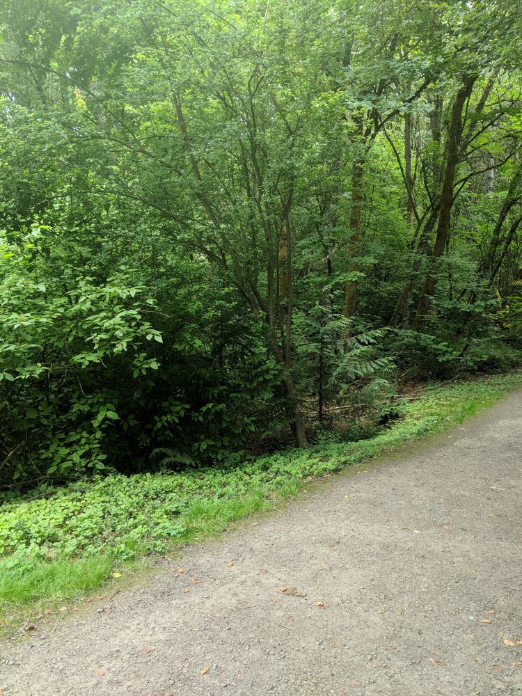 SPRINGBROOK PARK Updated July 2024 16 Photos 2899 Diane Dr, Lake