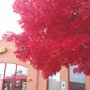Photo of PC Mart