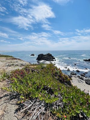 The Lodge at Bodega Bay by null