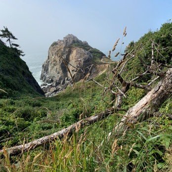 Golden Eagle Vacation Rentals - Gorgeous coastal views from nearby Patricks Point State Park. - Vacation Rentals Near Me - Trinidad, California Golden Eagle Vacation Rentals - Gorgeous coastal views from nearby Patricks Point State Park. - Vacation Rentals Near Me - Trinidad, California