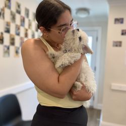 Toronto North Animal Hospital