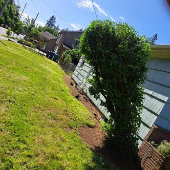 Luis Bravo Landcare - Sideyard after - Pressure Washers Near Me Luis Bravo Landcare - Sideyard after - Pressure Washers Near Me