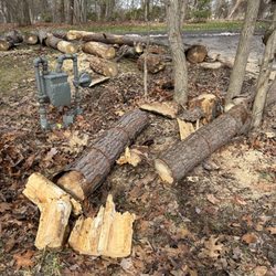 Falling Timbers Tree Service - Very careful with their work.