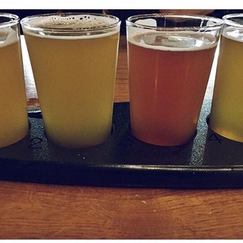 Harpoon Brewery - UFO flight- raz and winter ale so good - Breweries Near Me - Boston, Massachusetts