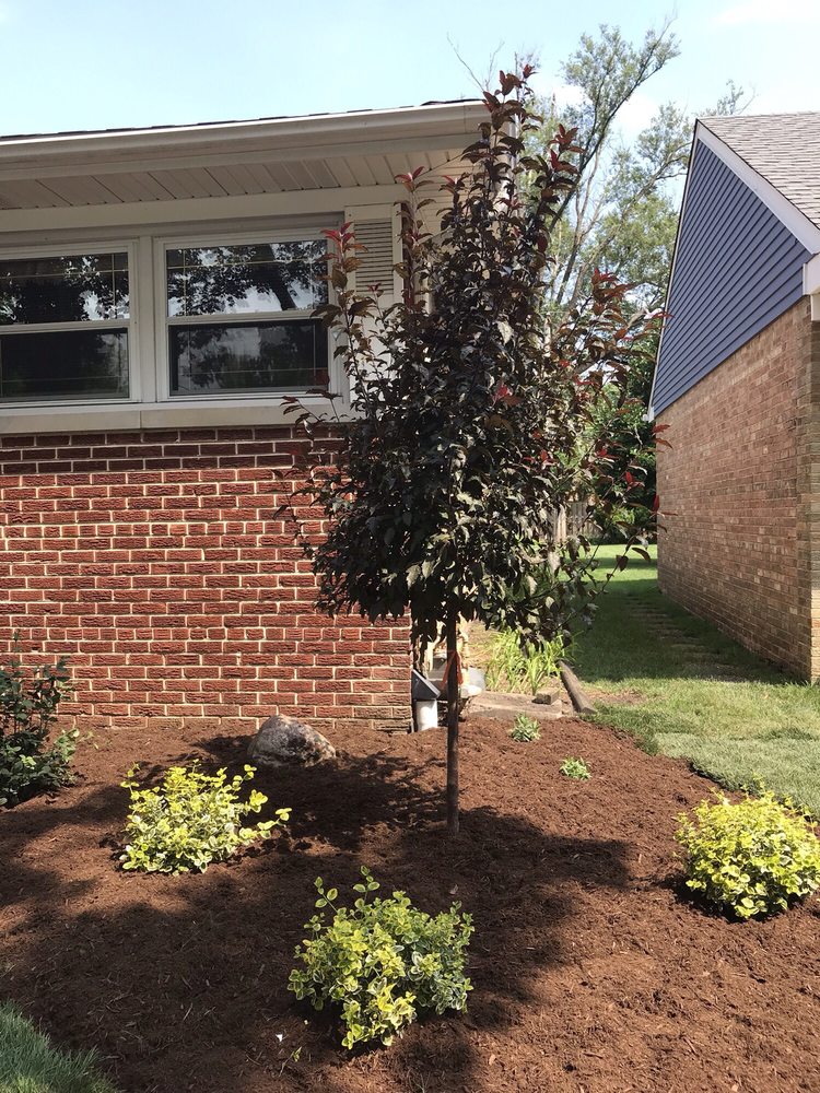 Slide of Perfect Turf Landscaping