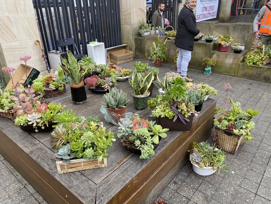 Rozelle Collectors Markets by null