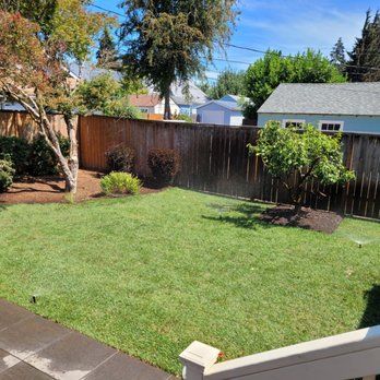 Handyman Rick - a backyard with a fence and a tree - Handyman Near Me Handyman Rick - a backyard with a fence and a tree - Handyman Near Me