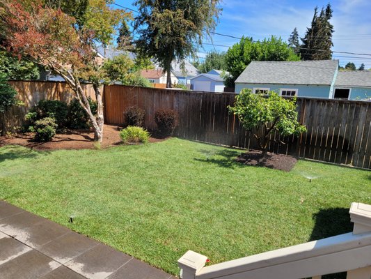 yard work - these are before and after pics