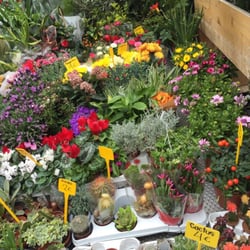 Mercado de las Flores - Un montón de flores