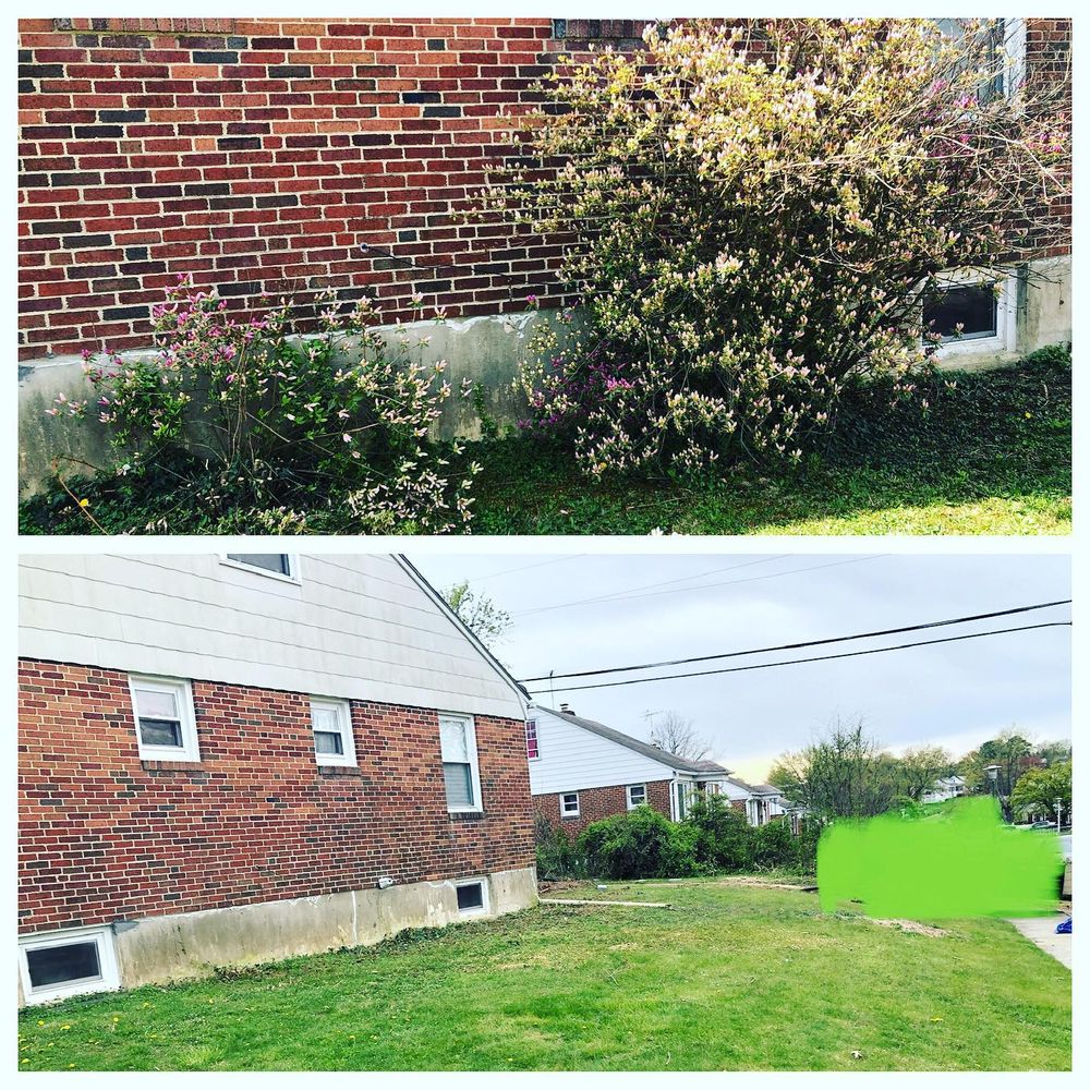 BUSY BEES LAWN CARE Updated March 2024 10 Photos Baltimore