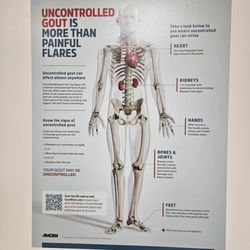 Kidney & Hypertension Specialists of Miami