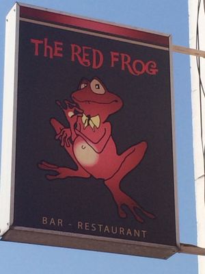 Red Frog by null