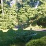 Photo of Honor Tree & Lawn Service