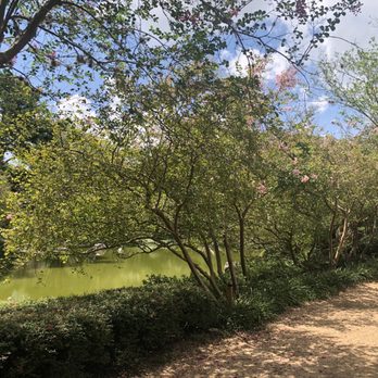 Japanese Garden - Botanical Gardens Near Me - Houston, Texas