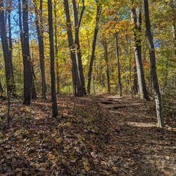 Pinckney Recreation Area
