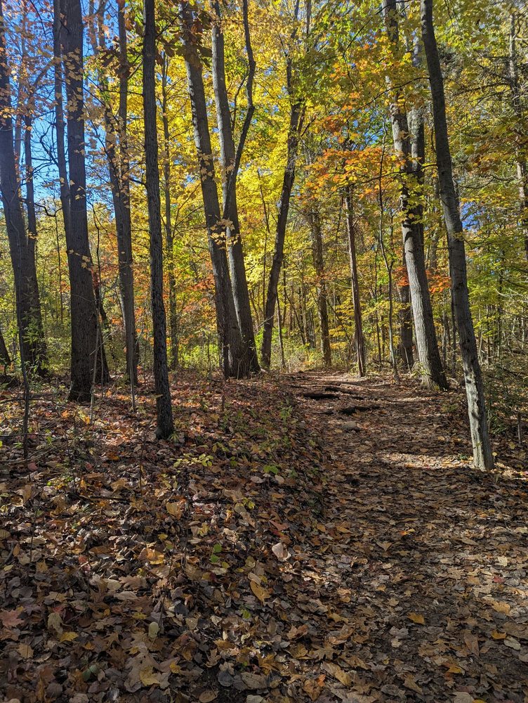 Pinckney Recreation Area Logo