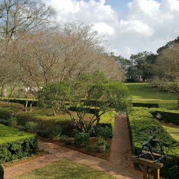 Gray Line New Orleans - View from big house balcony at Oak Alley, former location of kitchen - Tours Near Me - New Orleans, Louisiana Gray Line New Orleans - View from big house balcony at Oak Alley, former location of kitchen - Tours Near Me - New Orleans, Louisiana