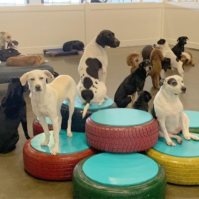 Crate Escape by null