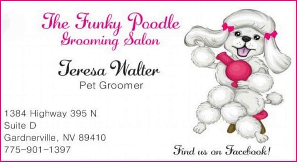 funky poodle grooming