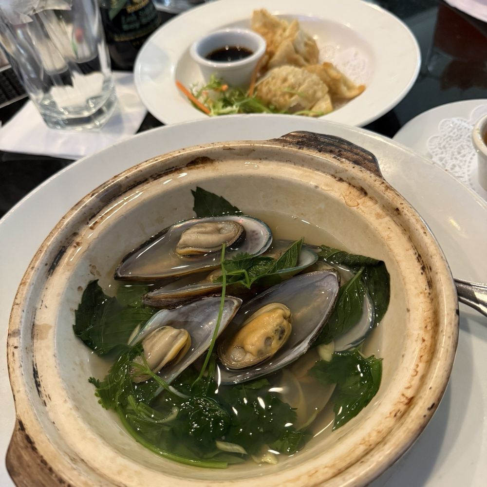 Mussels Mussels