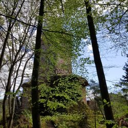 Burgruine Erfenstein - Der Bergfried