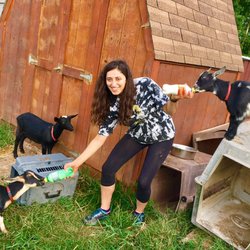 Little Goat Farm at the Lake - Summer Camps now open for sign up:)