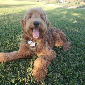 Westwillow Park - Dog Parks Near Me - Houston, Texas