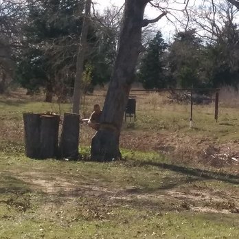 Mommas Firewood - Firewood Near Me - Austin, Texas